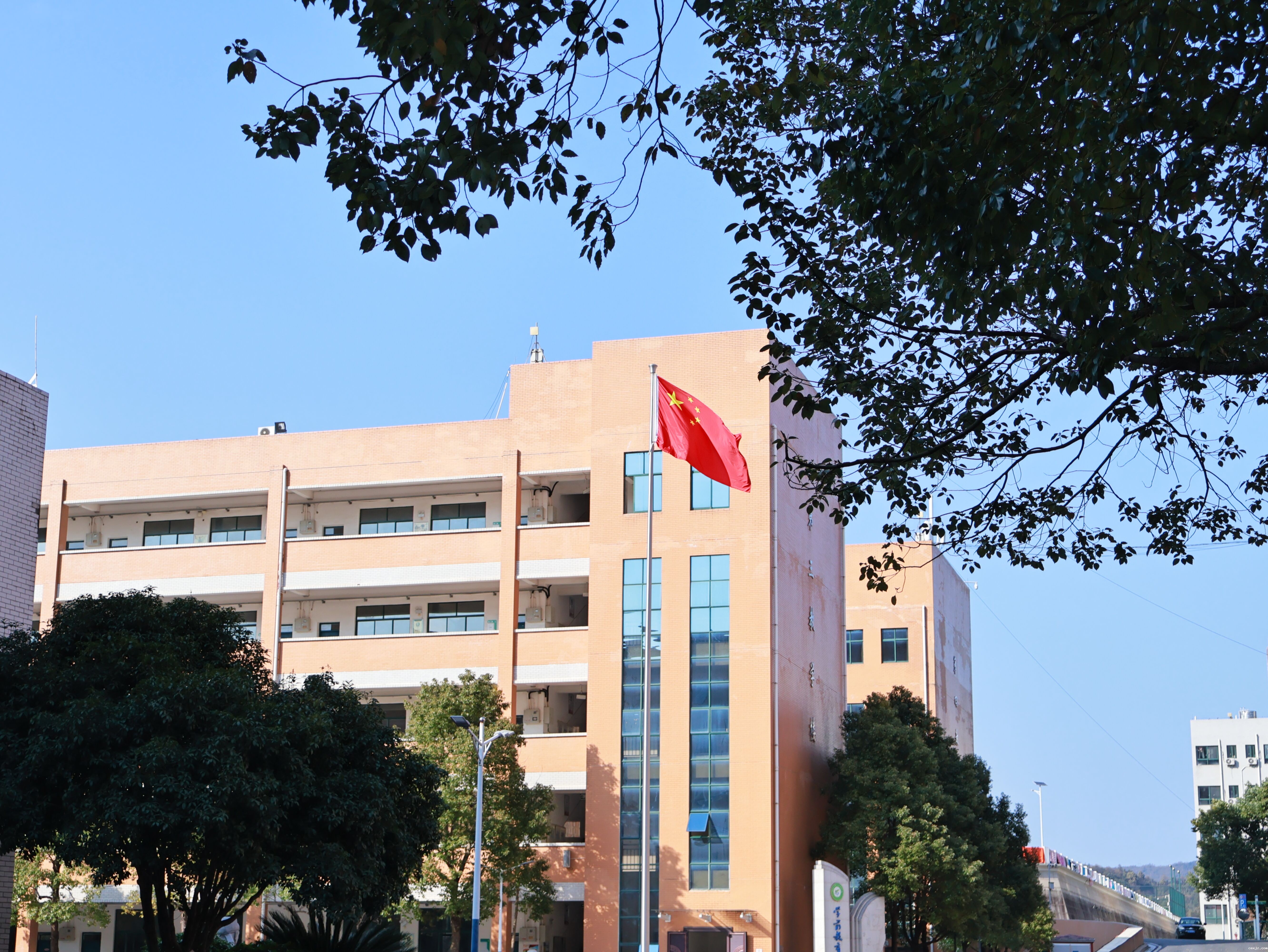 QQ图片20250301211641.jpg
